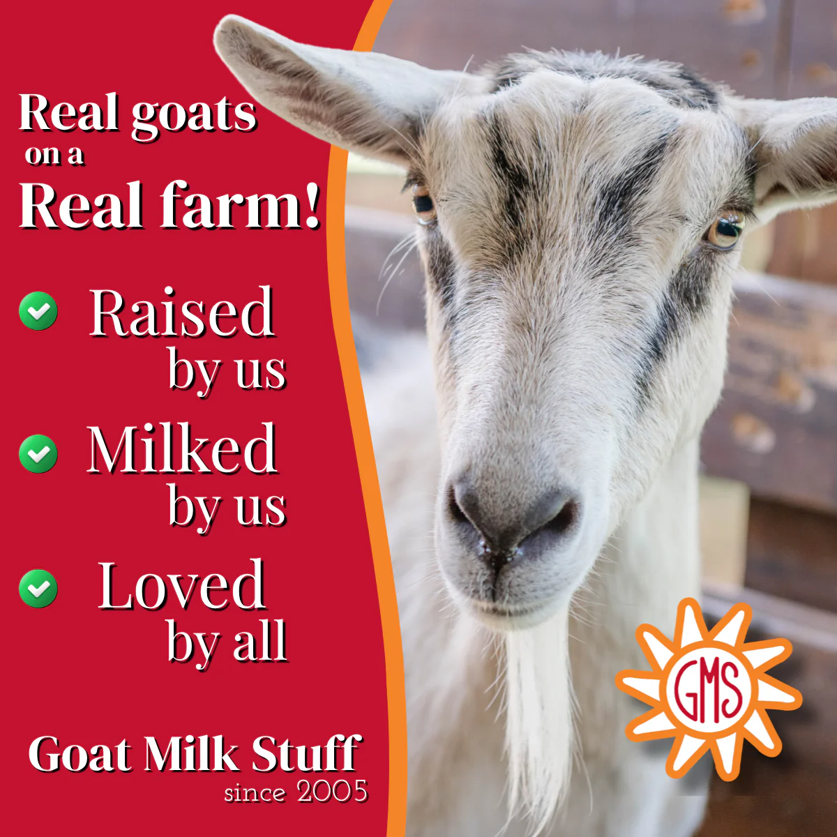Black Raspberry Goat Milk Soap - Image 4