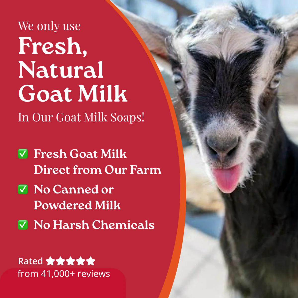 Black Raspberry Goat Milk Soap - Image 9